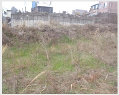  2025Ÿ��7693  �Ӿ߰��