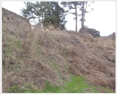  2025Ÿ��7693  �Ӿ߰��