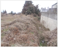  2025Ÿ��7693  �Ӿ߰��