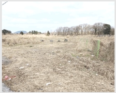  2025Ÿ��7701 ���� ���ֽ� ��õ�� ������ 385-9      ����(�Ӿ�)���