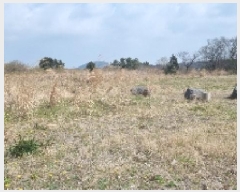  2025Ÿ��7701 ���� ���ֽ� ��õ�� ������ 385-9      ����(�Ӿ�)���