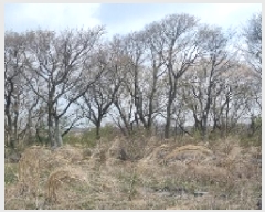  2025Ÿ��7701 ���� ���ֽ� ��õ�� ������ 385-9      ����(�Ӿ�)���