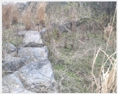  2025Ÿ��7701 ���� ���ֽ� ��õ�� ������ 385-9      ����(�Ӿ�)���