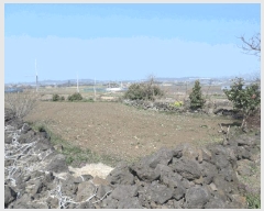  2025Ÿ7727     2694      (1)