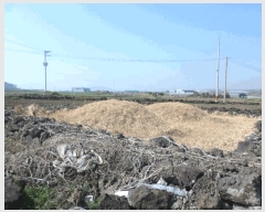  2025Ÿ7727     2694      (1)