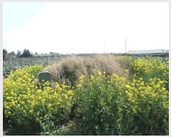  2025Ÿ7727     2694      (1)