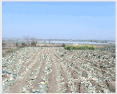  2025Ÿ7727     2694      (1)