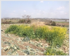  2025Ÿ7727     2694      (1)