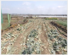  2025Ÿ7727     2694      (1)