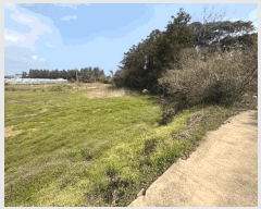  2025Ÿ��7791  ���������