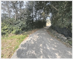  2025Ÿ��7791  ���������