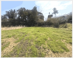  2025Ÿ��7791  ���������