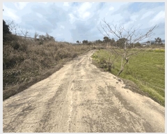  2025Ÿ��7791  ���������