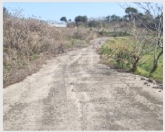  2025Ÿ��7791  ���������