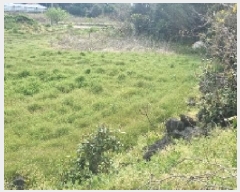  2025Ÿ��7791  ���������