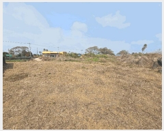  2025Ÿ��7808 ���� ���ֽ� �Ѱ�� �θ� 1311      ����(����)���