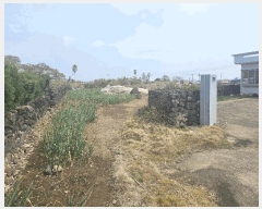  2025Ÿ��7808 ���� ���ֽ� �Ѱ�� �θ� 1311      ����(����)���