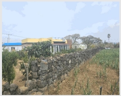  2025Ÿ��7808 ���� ���ֽ� �Ѱ�� �θ� 1311      ����(����)���