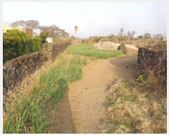  2025Ÿ��7808 ���� ���ֽ� �Ѱ�� �θ� 1311      ����(����)���