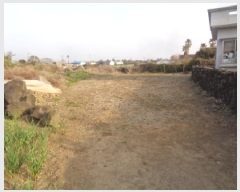  2025Ÿ��7808 ���� ���ֽ� �Ѱ�� �θ� 1311      ����(����)���