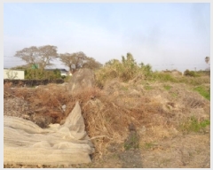  2025Ÿ��7808 ���� ���ֽ� �Ѱ�� �θ� 1311      ����(����)���