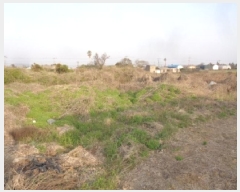  2025Ÿ��7808 ���� ���ֽ� �Ѱ�� �θ� 1311      ����(����)���