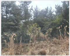  2025Ÿ��7817  �Ӿ߰��