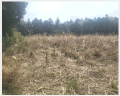  2025Ÿ��7817  �Ӿ߰��