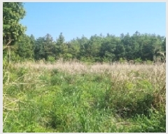  2025Ÿ��7817  �Ӿ߰��