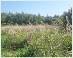  2025Ÿ��7817  �Ӿ߰��