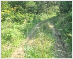  2025Ÿ��7817  �Ӿ߰��