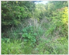  2025Ÿ��7817  �Ӿ߰��