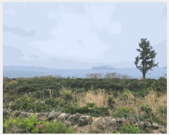  2025Ÿ��7845 ���� �������� ȣ�ٵ� 1631-1       �ٸ��ü�,�󰡰��