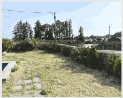  2025Ÿ��7855  ���ð��