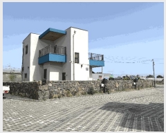  2025Ÿ��7855  ���ð��