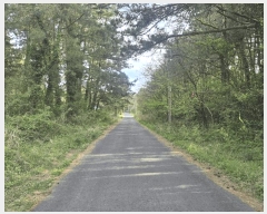  2025Ÿ��7891 ���� ���ֽ� �ֿ��� �ұ渮 ��84-6      ����(�Ӿ�)���