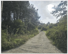  2025Ÿ��7891 ���� ���ֽ� �ֿ��� �ұ渮 ��84-6      ����(�Ӿ�)���