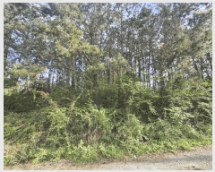  2025Ÿ��7891 ���� ���ֽ� �ֿ��� �ұ渮 ��84-6      ����(�Ӿ�)���