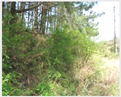  2025Ÿ��7891 ���� ���ֽ� �ֿ��� �ұ渮 ��84-6      ����(�Ӿ�)���