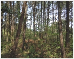  2025Ÿ��7891 ���� ���ֽ� �ֿ��� �ұ渮 ��84-6      ����(�Ӿ�)���