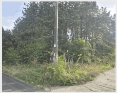  2025Ÿ��7891 ���� ���ֽ� �ֿ��� �ұ渮 ��84-6      ����(�Ӿ�)���