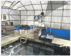  2025Ÿ��7908 ���� ���ֽ� �Ѹ��� �ʹ��� 3945-7      �������