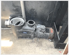  2025Ÿ��7908 ���� ���ֽ� �Ѹ��� �ʹ��� 3945-7      �������