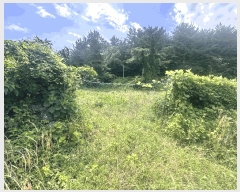  2025Ÿ��7990 ���� ���ֽ� �ֿ��� ������ 842-4      ����(��1)���