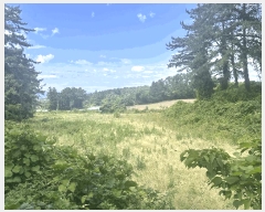  2025Ÿ��7990 ���� ���ֽ� �ֿ��� ������ 842-4      ����(��1)���