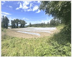  2025Ÿ��7990 ���� ���ֽ� �ֿ��� ������ 842-4      ����(��1)���