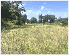  2025Ÿ��7990 ���� ���ֽ� �ֿ��� ������ 842-4      ����(��1)���