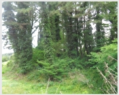  2025Ÿ��7990 ���� ���ֽ� �ֿ��� ������ 842-4      ����(��1)���