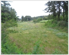  2025Ÿ��7990 ���� ���ֽ� �ֿ��� ������ 842-4      ����(��1)���