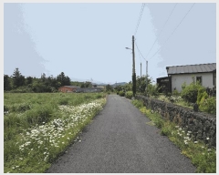  2025Ÿ��8003 ���� �������� ǥ���� ������ 1864      ����(�Ӿ�)���